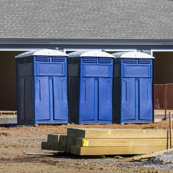 are there any restrictions on what items can be disposed of in the portable toilets in Birdseye IN